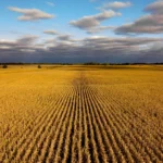 Ottumwa-Iowa-Relocation-Guide